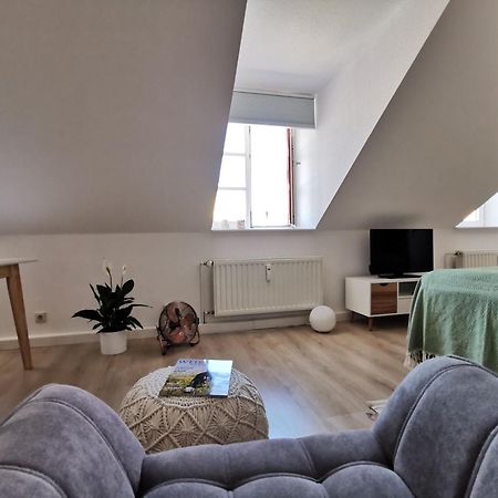Fynbos Apartments In Der Altstadt, Frauenkirche, Historisch, Parkplatz Meißen Eksteriør billede