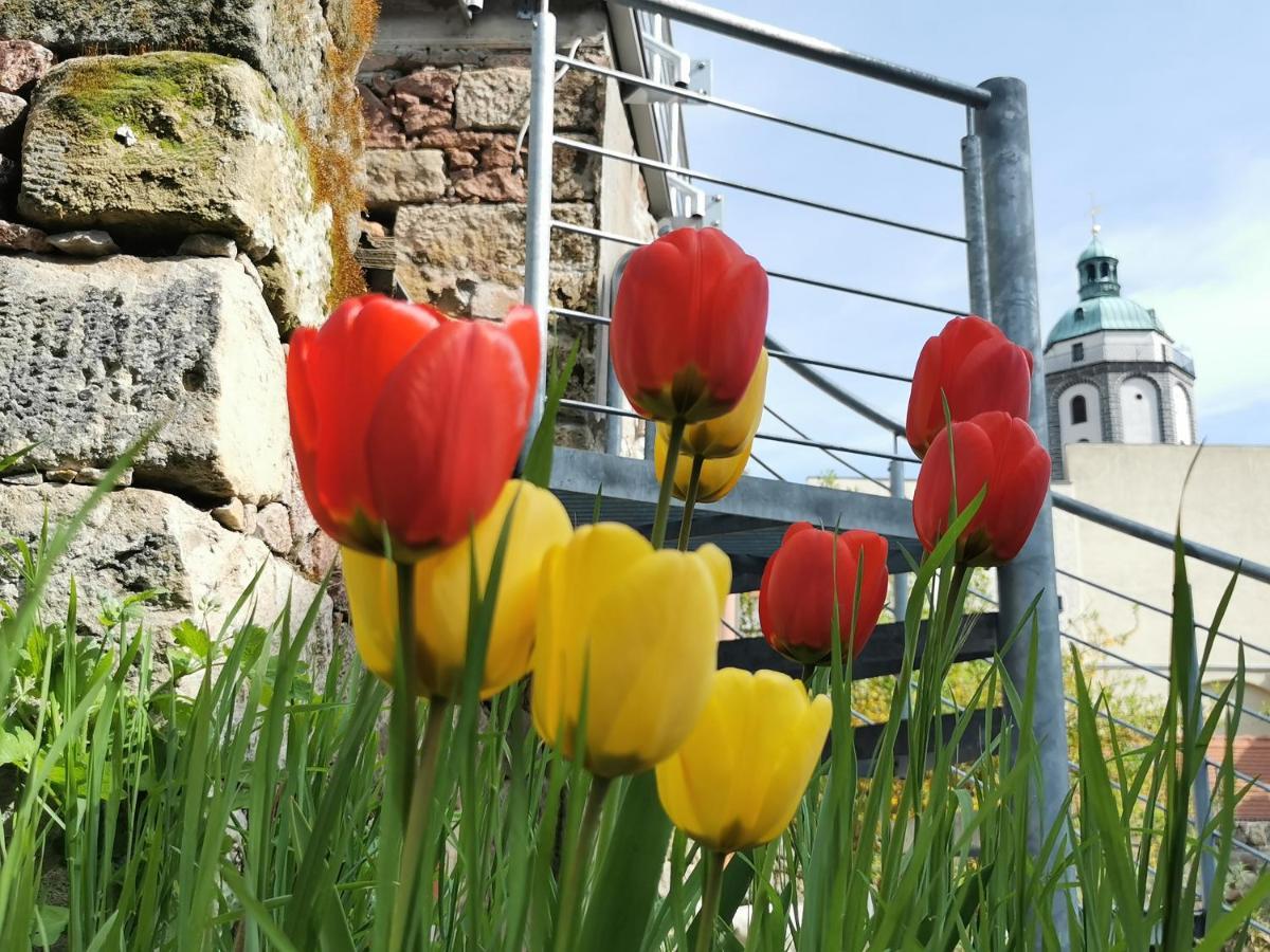 Fynbos Apartments In Der Altstadt, Frauenkirche, Historisch, Parkplatz Meißen Eksteriør billede