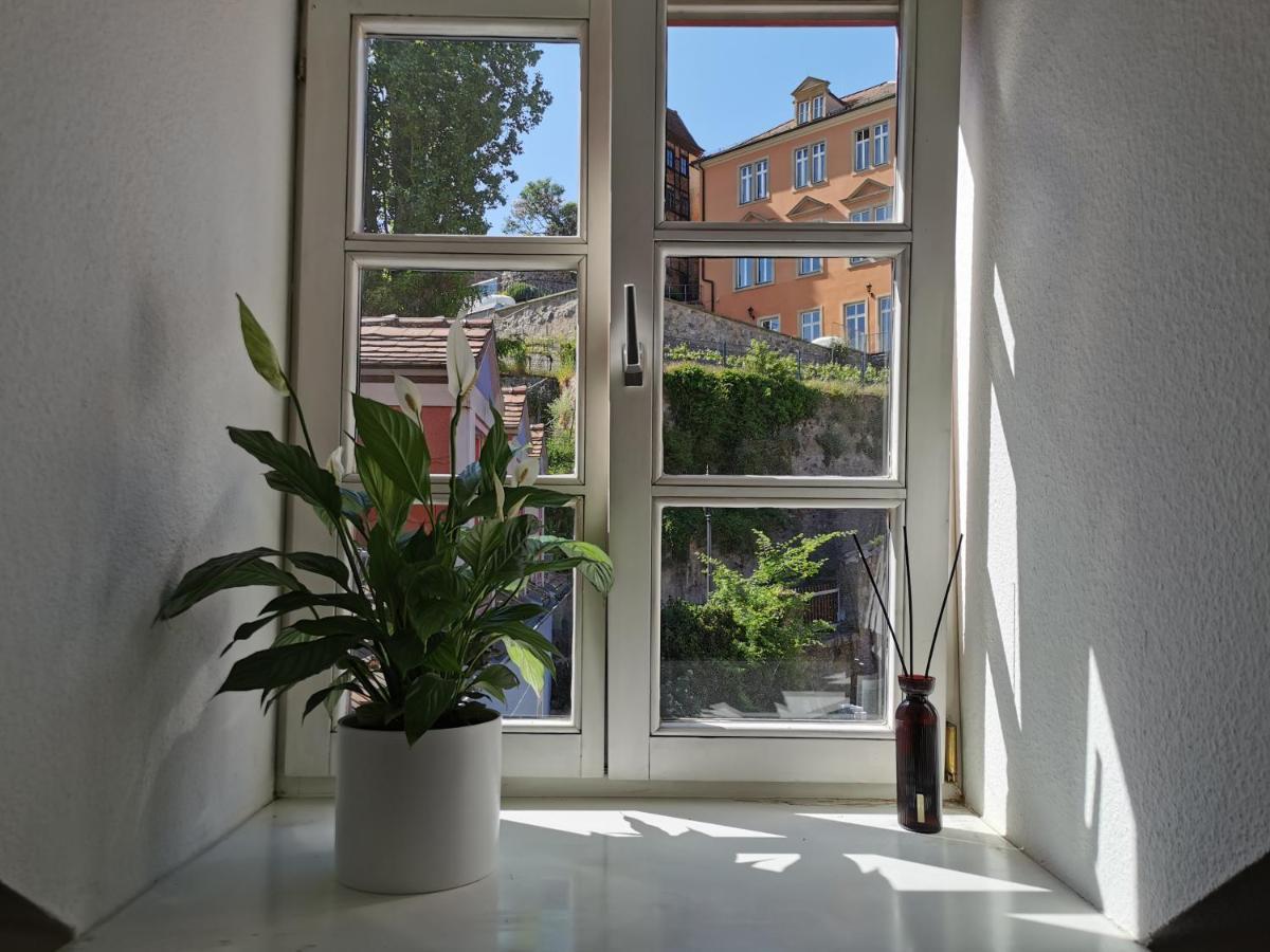 Fynbos Apartments In Der Altstadt, Frauenkirche, Historisch, Parkplatz Meißen Eksteriør billede